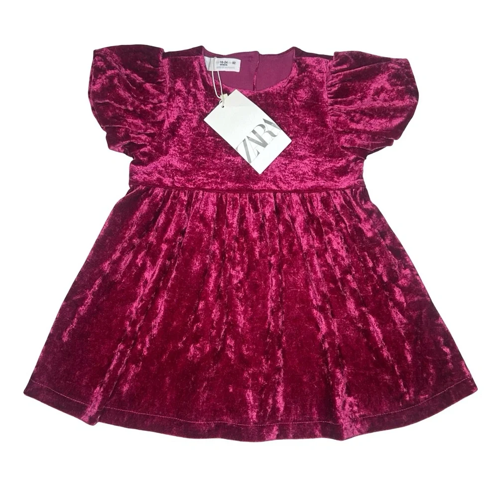 Zara Velvet‎ Dress